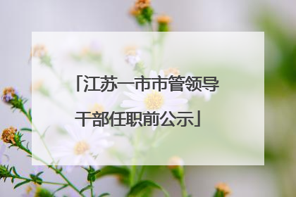 江苏一市市管领导干部任职前公示