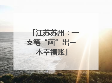 江苏苏州：一支笔“画”出三本幸福账