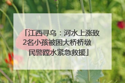 江西寻乌：河水上涨致2名小孩被困大桥桥墩 民警蹚水紧急救援