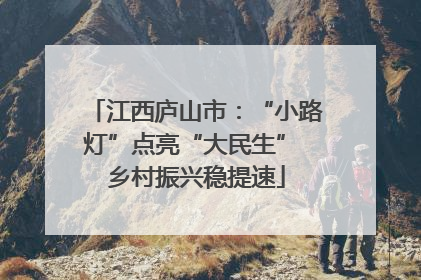 江西庐山市：“小路灯”点亮“大民生” 乡村振兴稳提速