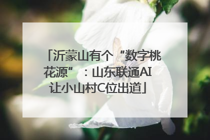 沂蒙山有个“数字桃花源”：山东联通AI让小山村C位出道