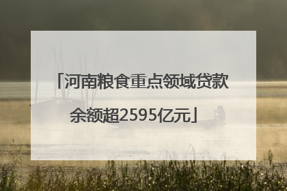 河南粮食重点领域贷款余额超2595亿元