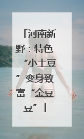 河南新野：特色“小土豆”变身致富“金豆豆”