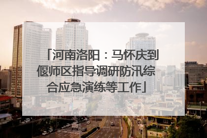 河南洛阳：马怀庆到偃师区指导调研防汛综合应急演练等工作