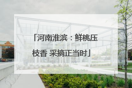 河南淮滨：鲜桃压枝香 采摘正当时