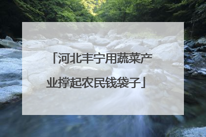 河北丰宁用蔬菜产业撑起农民钱袋子