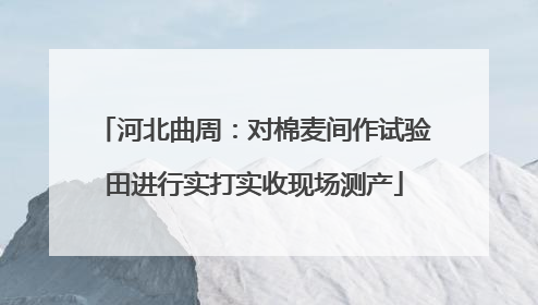 河北曲周：对棉麦间作试验田进行实打实收现场测产