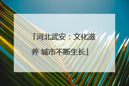 河北武安：文化滋养 城市不断生长