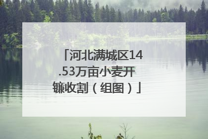 河北满城区14.53万亩小麦开镰收割（组图）