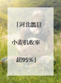 河北蠡县小麦机收率超95%