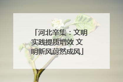 河北辛集：文明实践提质增效 文明新风蔚然成风