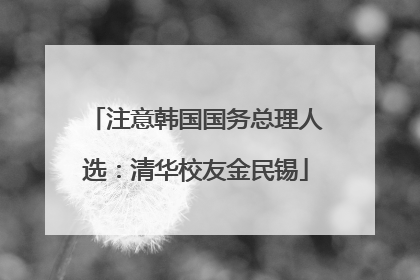 注意韩国国务总理人选：清华校友金民锡