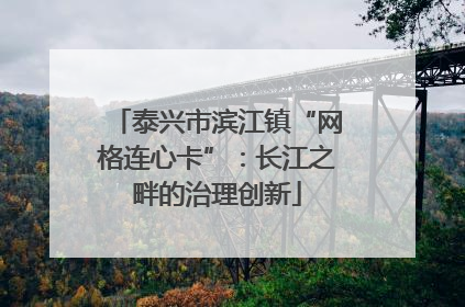 泰兴市滨江镇“网格连心卡”：长江之畔的治理创新