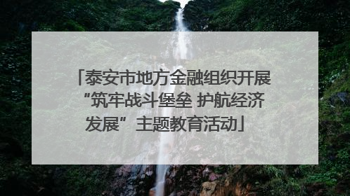 泰安市地方金融组织开展“筑牢战斗堡垒 护航经济发展”主题教育活动