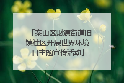 泰山区财源街道旧镇社区开展世界环境日主题宣传活动