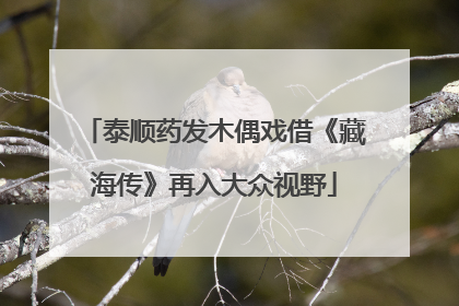 泰顺药发木偶戏借《藏海传》再入大众视野