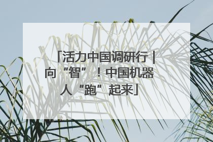 活力中国调研行｜向“智”！中国机器人“跑”起来