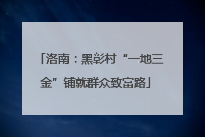 洛南：黑彰村“一地三金”铺就群众致富路