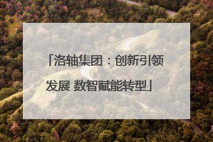 洛轴集团：创新引领发展 数智赋能转型