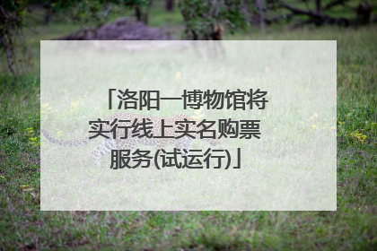 洛阳一博物馆将实行线上实名购票服务(试运行)