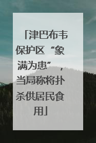 津巴布韦保护区“象满为患”，当局称将扑杀供居民食用