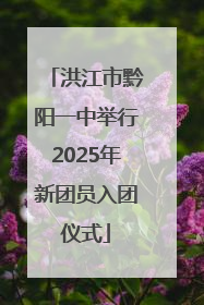 洪江市黔阳一中举行2025年新团员入团仪式