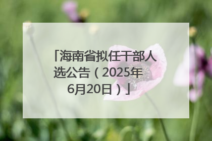海南省拟任干部人选公告（2025年6月20日）
