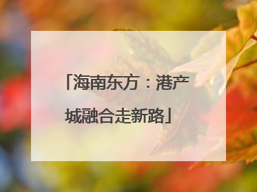 海南东方：港产城融合走新路