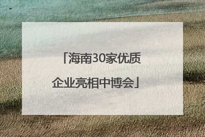 海南30家优质企业亮相中博会