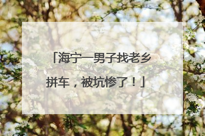 海宁一男子找老乡拼车，被坑惨了！