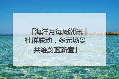 海洋月每周潮讯｜社群联动，多元场景共绘蔚蓝新章