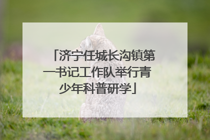 济宁任城长沟镇第一书记工作队举行青少年科普研学