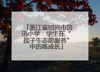 浙江省绍兴市鲁迅小学：学生在“孺子牛志愿服务”中历练成长