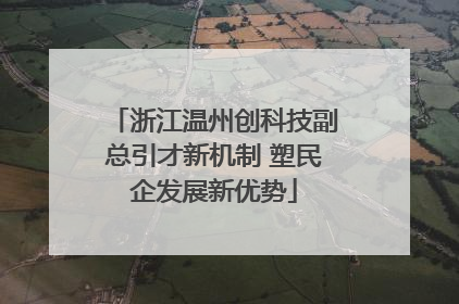 浙江温州创科技副总引才新机制 塑民企发展新优势
