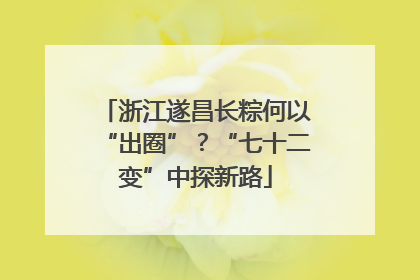 浙江遂昌长粽何以“出圈”？“七十二变”中探新路