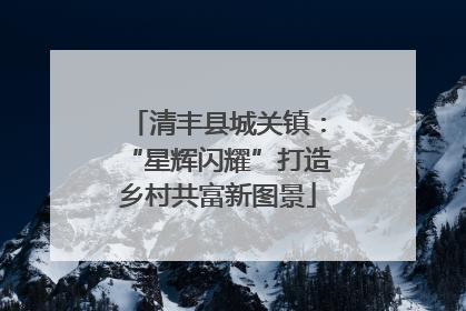 清丰县城关镇：“星辉闪耀”打造乡村共富新图景