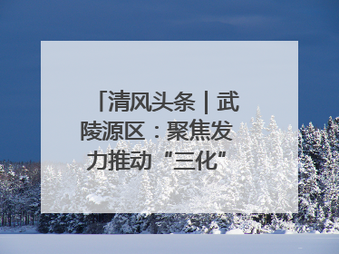清风头条｜武陵源区：聚焦发力推动“三化”建设年行动