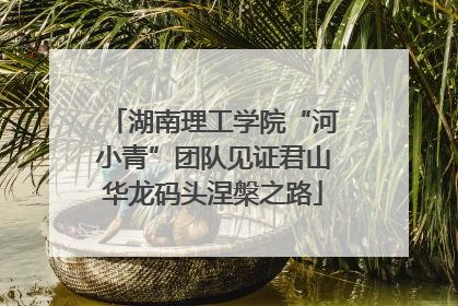 湖南理工学院“河小青”团队见证君山华龙码头涅槃之路
