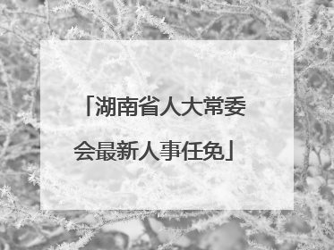 湖南省人大常委会最新人事任免