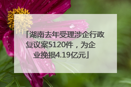 湖南去年受理涉企行政复议案5120件，为企业挽损4.19亿元