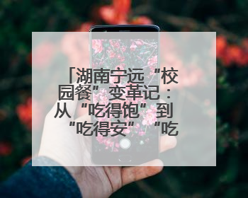 湖南宁远“校园餐”变革记：从“吃得饱”到“吃得安”“吃得香”