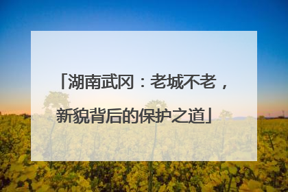湖南武冈：老城不老，新貌背后的保护之道