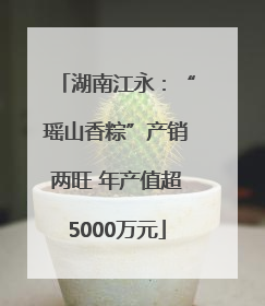 湖南江永：“瑶山香粽”产销两旺 年产值超5000万元