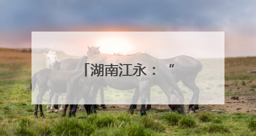 湖南江永：“四级联动”送医上门温暖人心