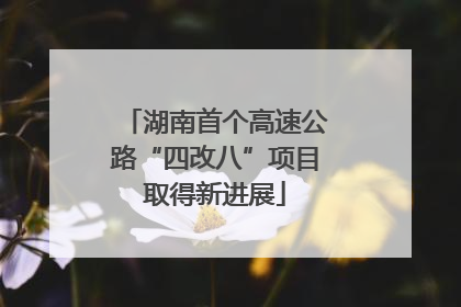 湖南首个高速公路“四改八”项目取得新进展