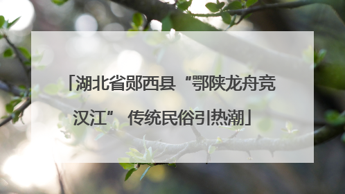 湖北省郧西县“鄂陕龙舟竞汉江” 传统民俗引热潮