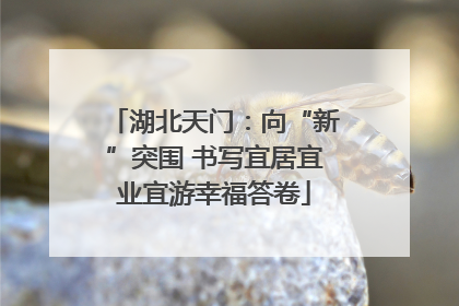 湖北天门：向“新”突围 书写宜居宜业宜游幸福答卷