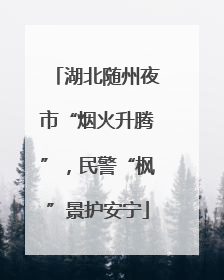 湖北随州夜市“烟火升腾”，民警“枫”景护安宁
