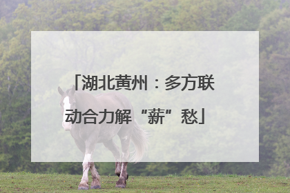 湖北黄州：多方联动合力解“薪”愁