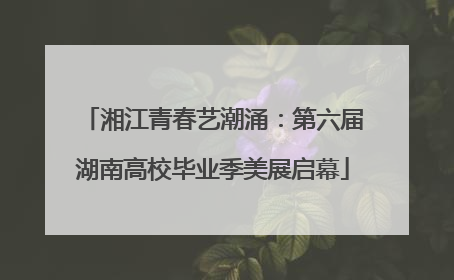 湘江青春艺潮涌：第六届湖南高校毕业季美展启幕